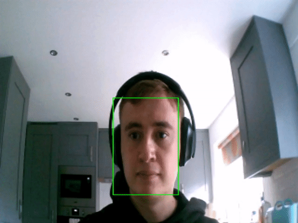 Face Tracking Results